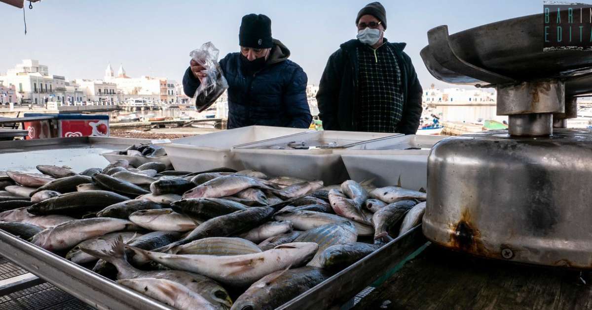 Il mercato ittico di Santo Spirito: l� dove si acquista il pesce direttamente da chi lo cattura
